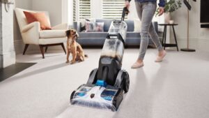 The Top Carpet Cleaning Services Companies for Pet Owners